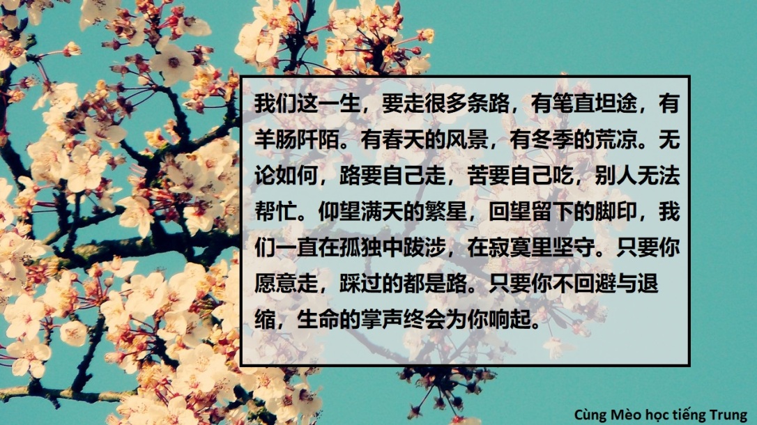 Trước ngủ nghe 1 đoạn văn] Dịch và học từ mới (3) – Cùng Mèo học tiếng Trung